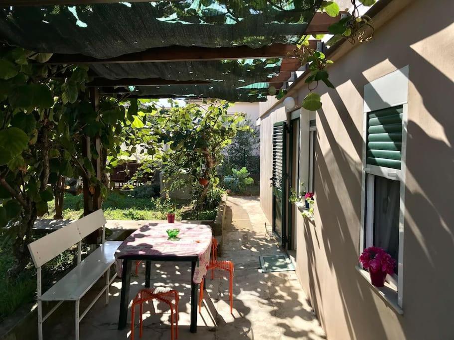 Garden Cozy Apartment ザダル エクステリア 写真